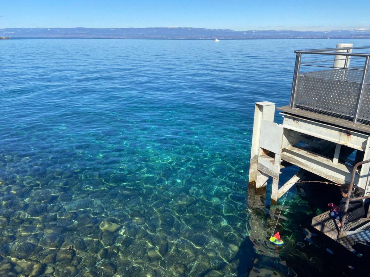 Bord De Lac,2 Chambres Superbe Vue Lac 5Mn Evian 러그린 외부 사진