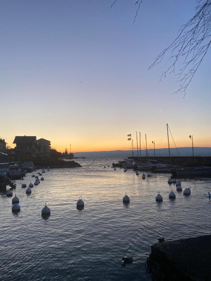 Bord De Lac,2 Chambres Superbe Vue Lac 5Mn Evian 러그린 외부 사진